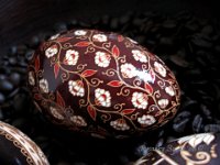 Spiral Flowers Etched Brown Ukrainian Easter Egg Pysanky By So Jeo : Pysanky pysanka ukrainian easter egg batik art sojeo florals flowers birds stars trees vines blooms buds bluebird owl art sojeo so jeo eggshell egg shell blown decoration ivy garden rainbow rosie posy nightshad victorian trees etched brown chicken eggs turkey